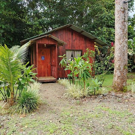 Citronela Lodge Corcovado Драке Экстерьер фото