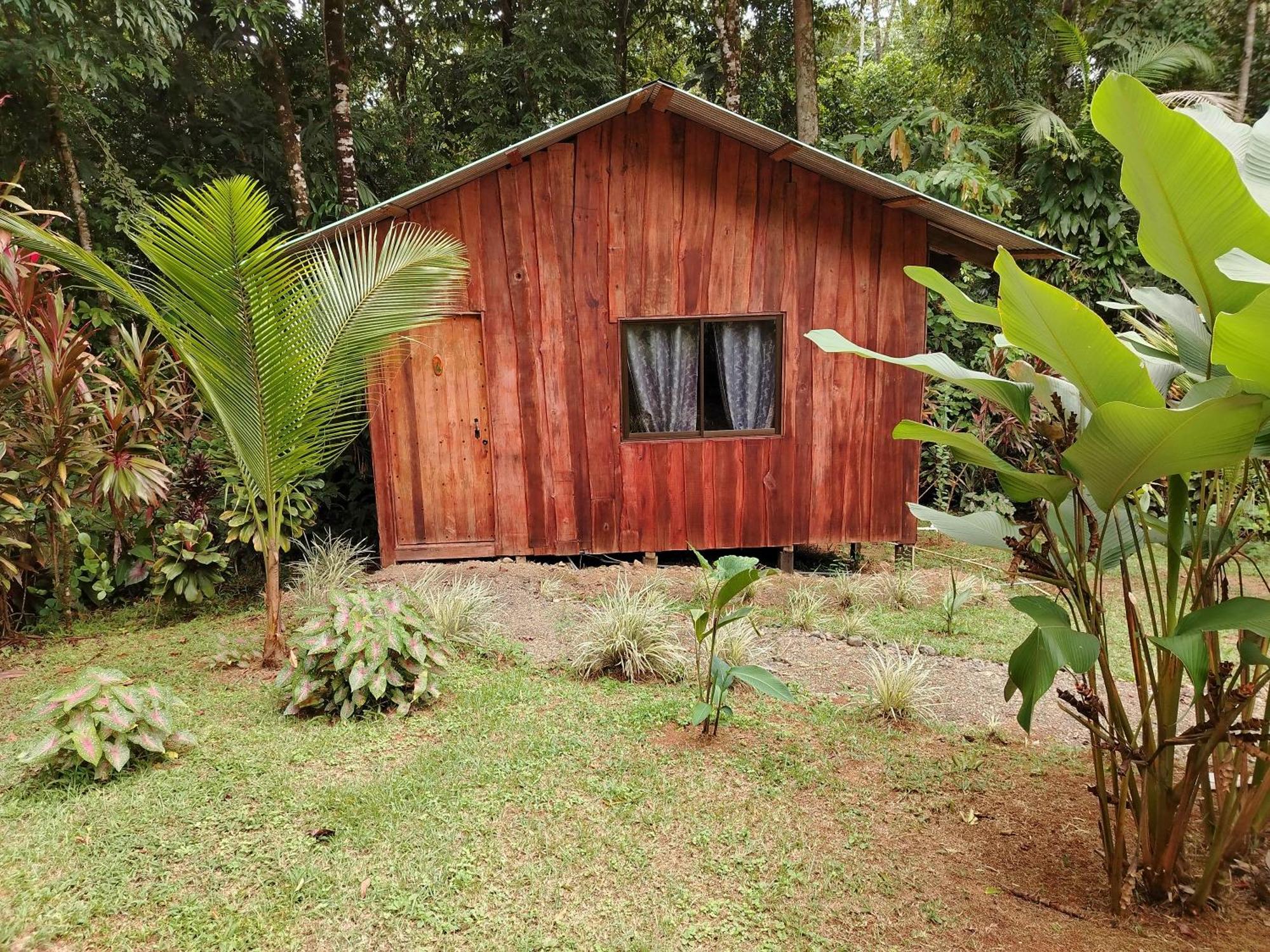 Citronela Lodge Corcovado Драке Экстерьер фото