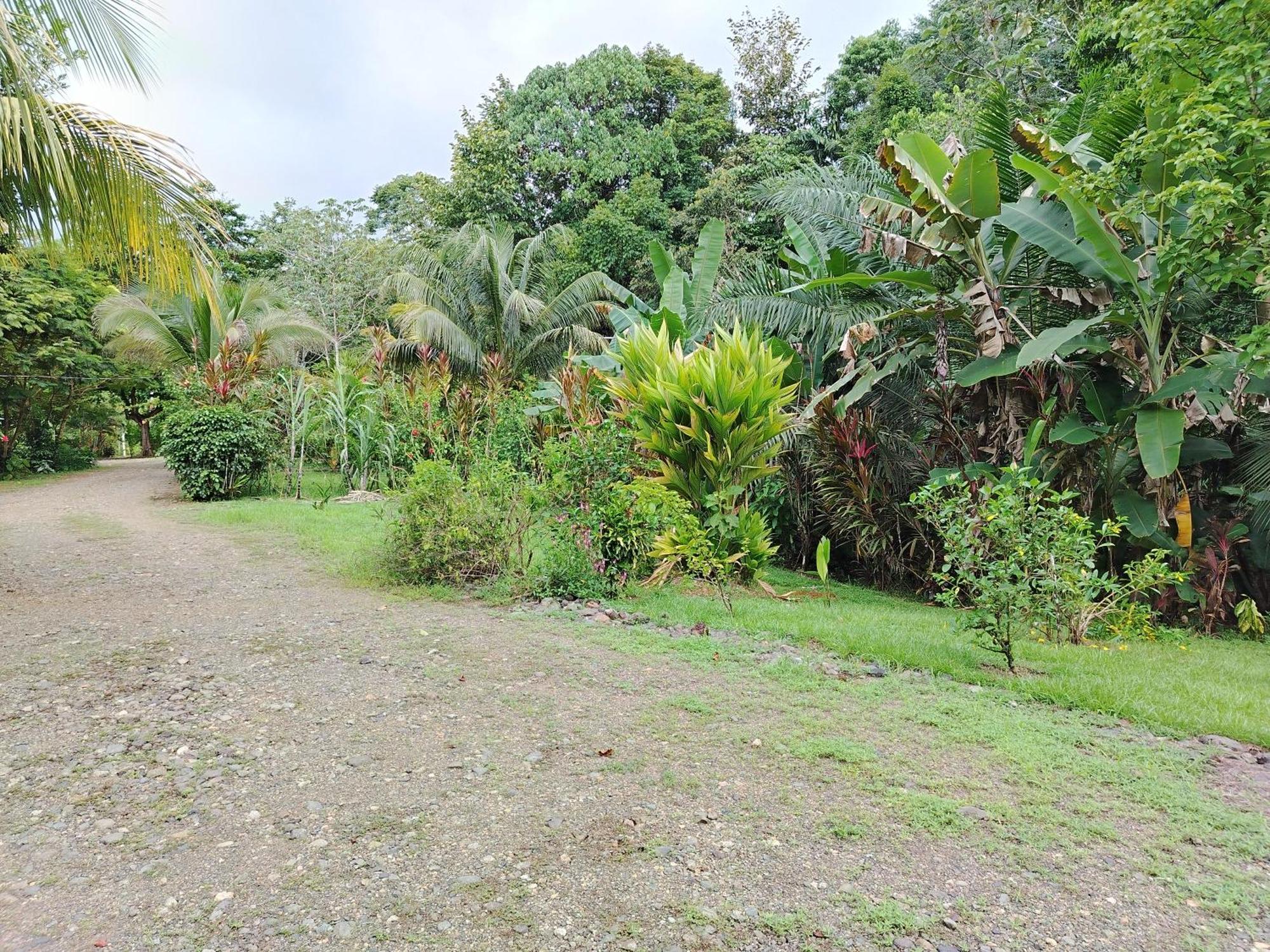 Citronela Lodge Corcovado Драке Экстерьер фото