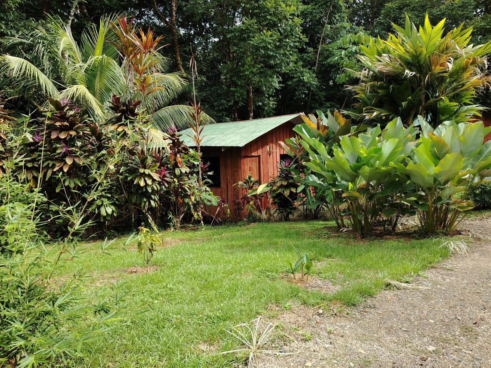 Citronela Lodge Corcovado Драке Экстерьер фото
