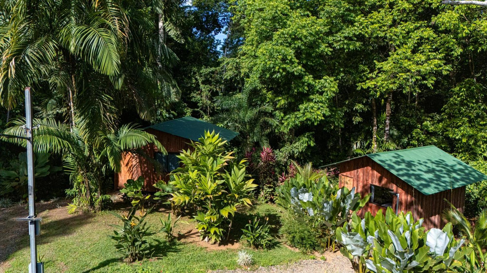 Citronela Lodge Corcovado Драке Экстерьер фото