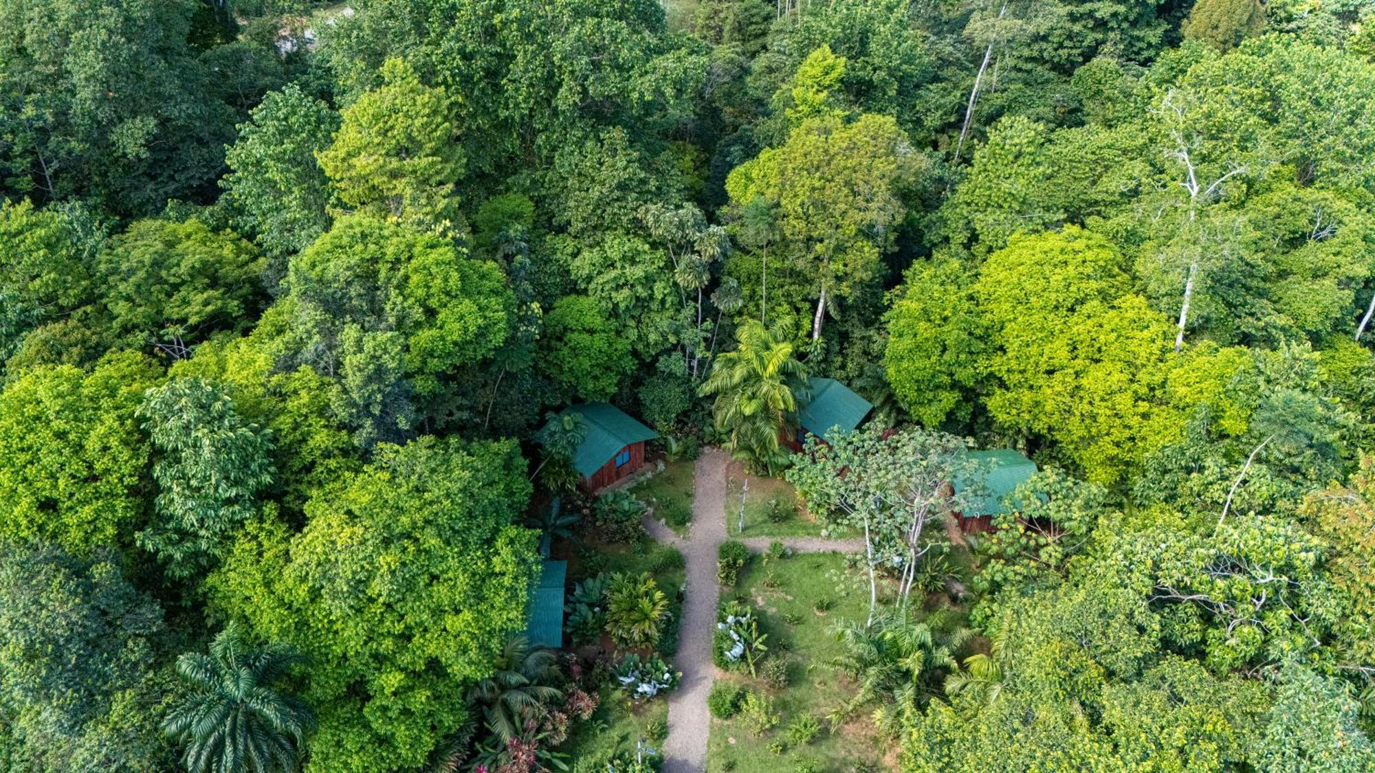 Citronela Lodge Corcovado Драке Экстерьер фото