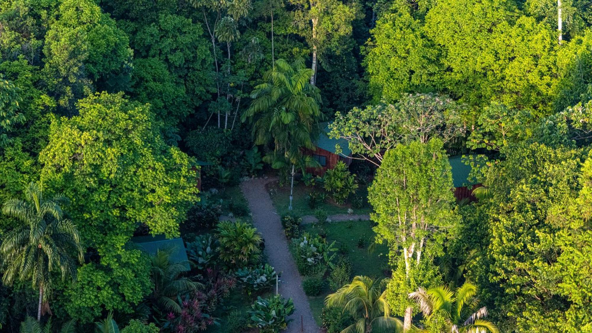 Citronela Lodge Corcovado Драке Экстерьер фото