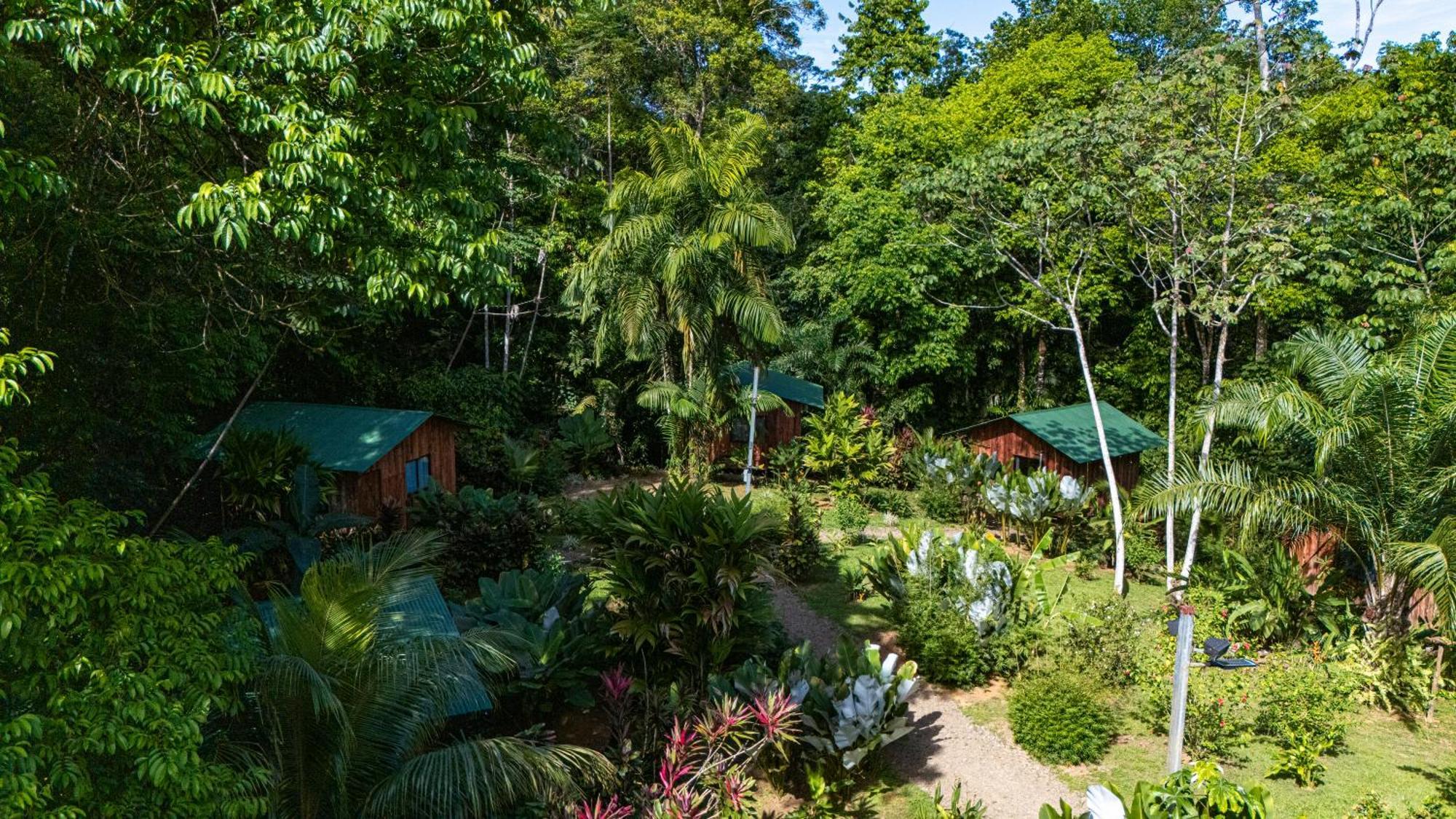 Citronela Lodge Corcovado Драке Экстерьер фото