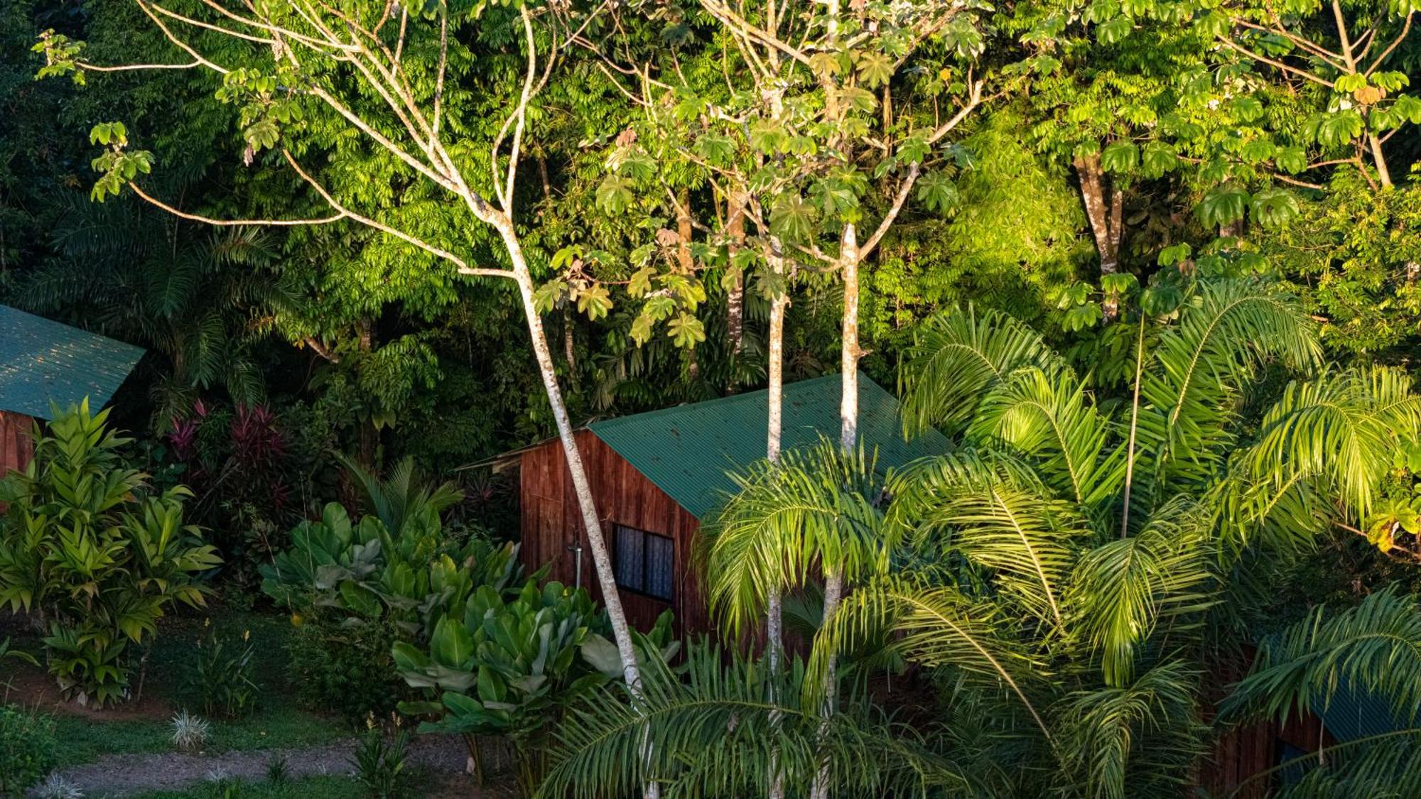 Citronela Lodge Corcovado Драке Экстерьер фото