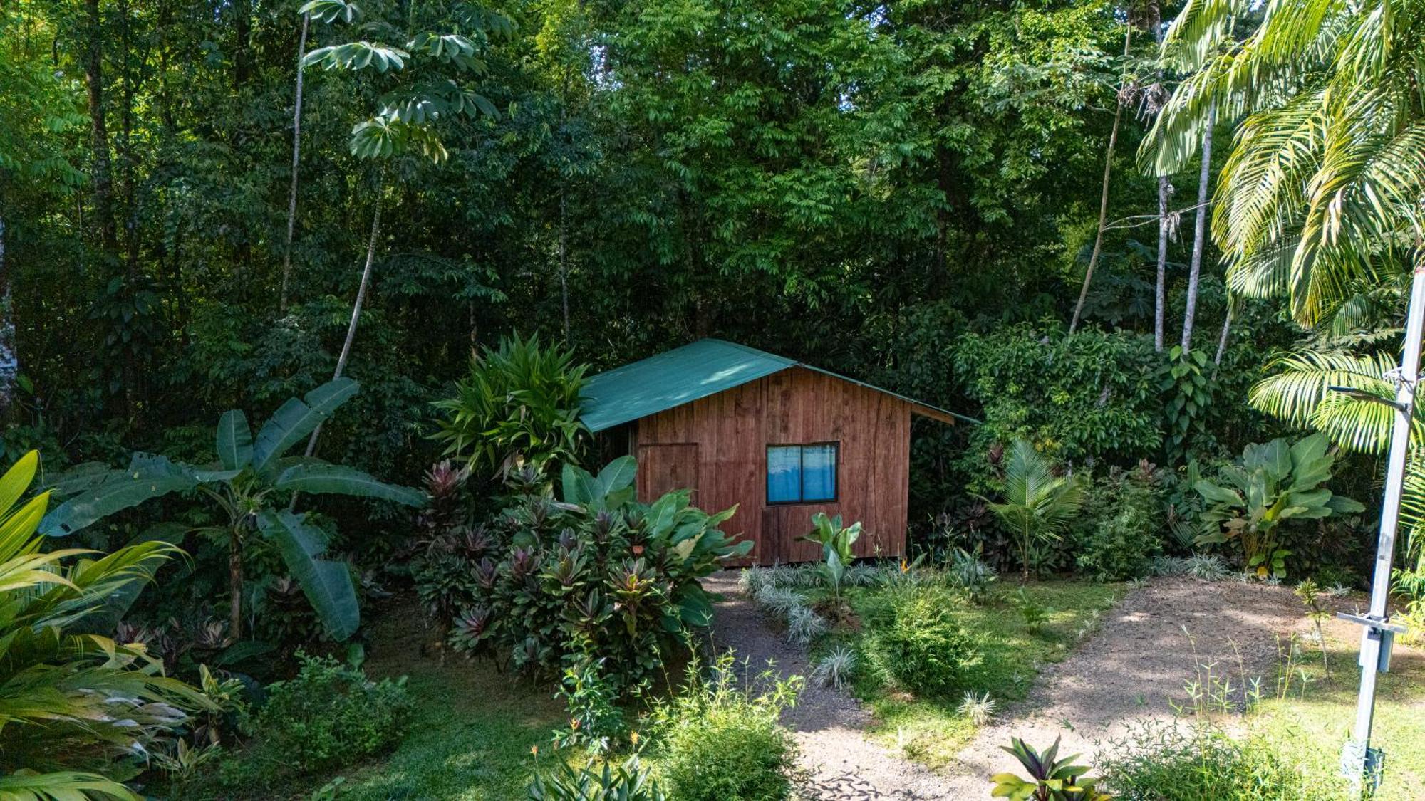 Citronela Lodge Corcovado Драке Экстерьер фото