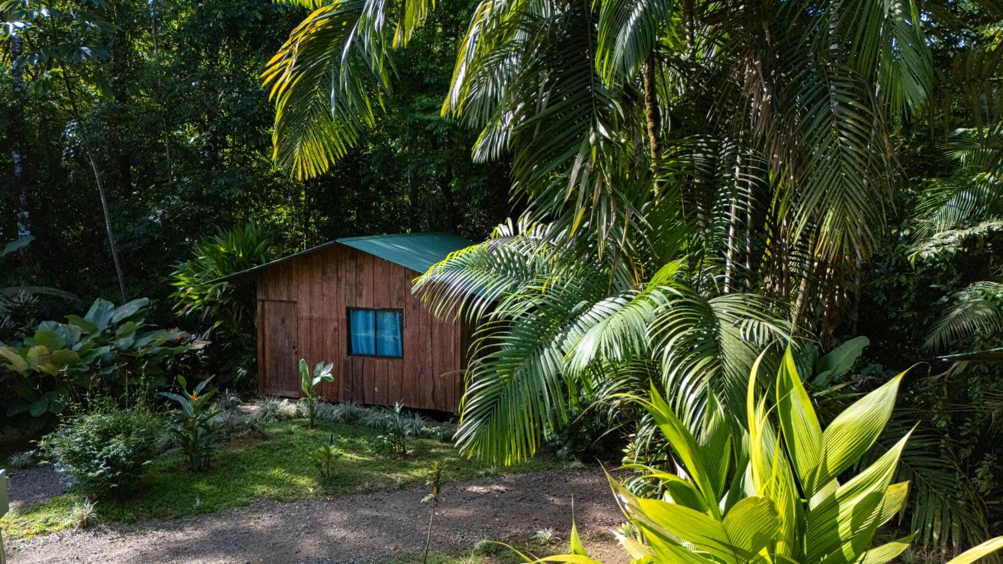 Citronela Lodge Corcovado Драке Экстерьер фото