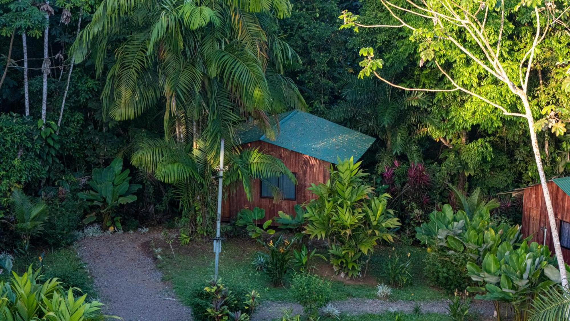 Citronela Lodge Corcovado Драке Экстерьер фото