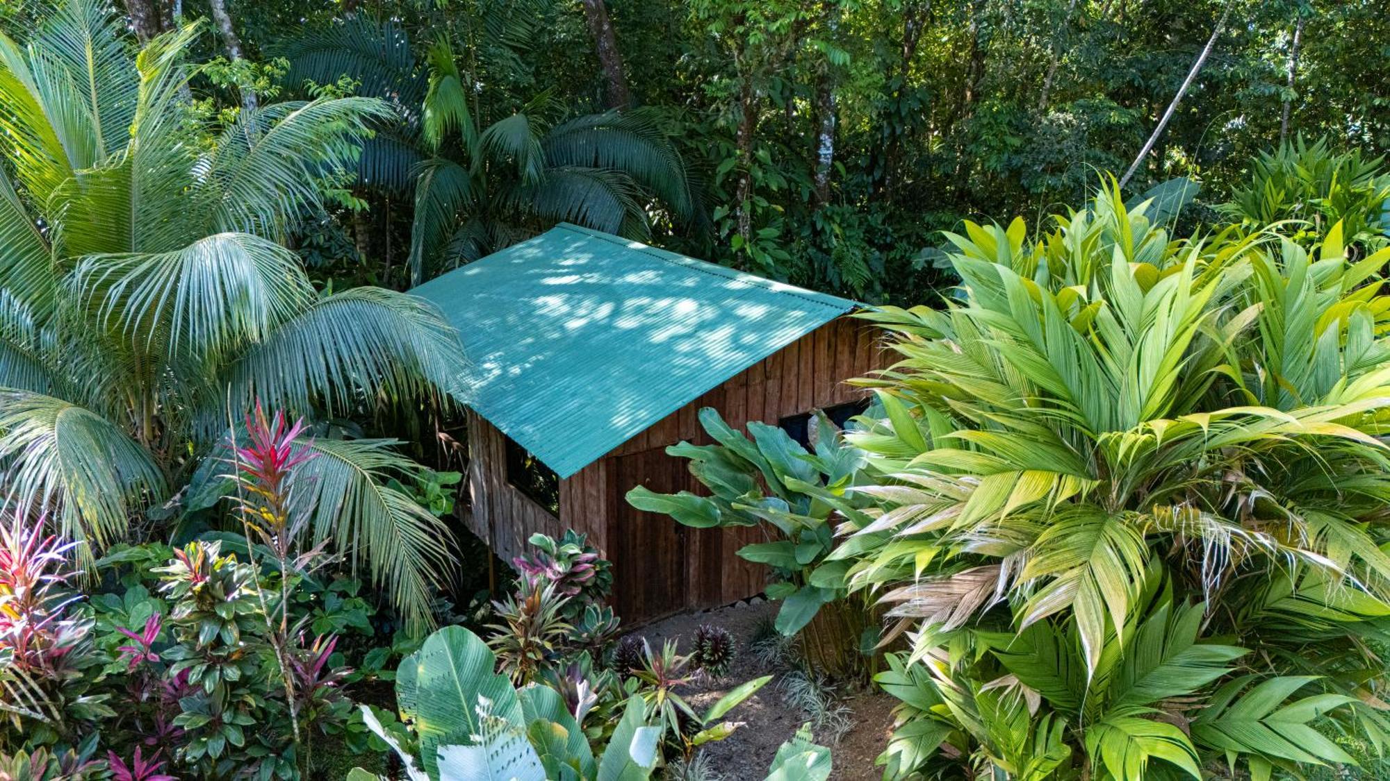 Citronela Lodge Corcovado Драке Экстерьер фото