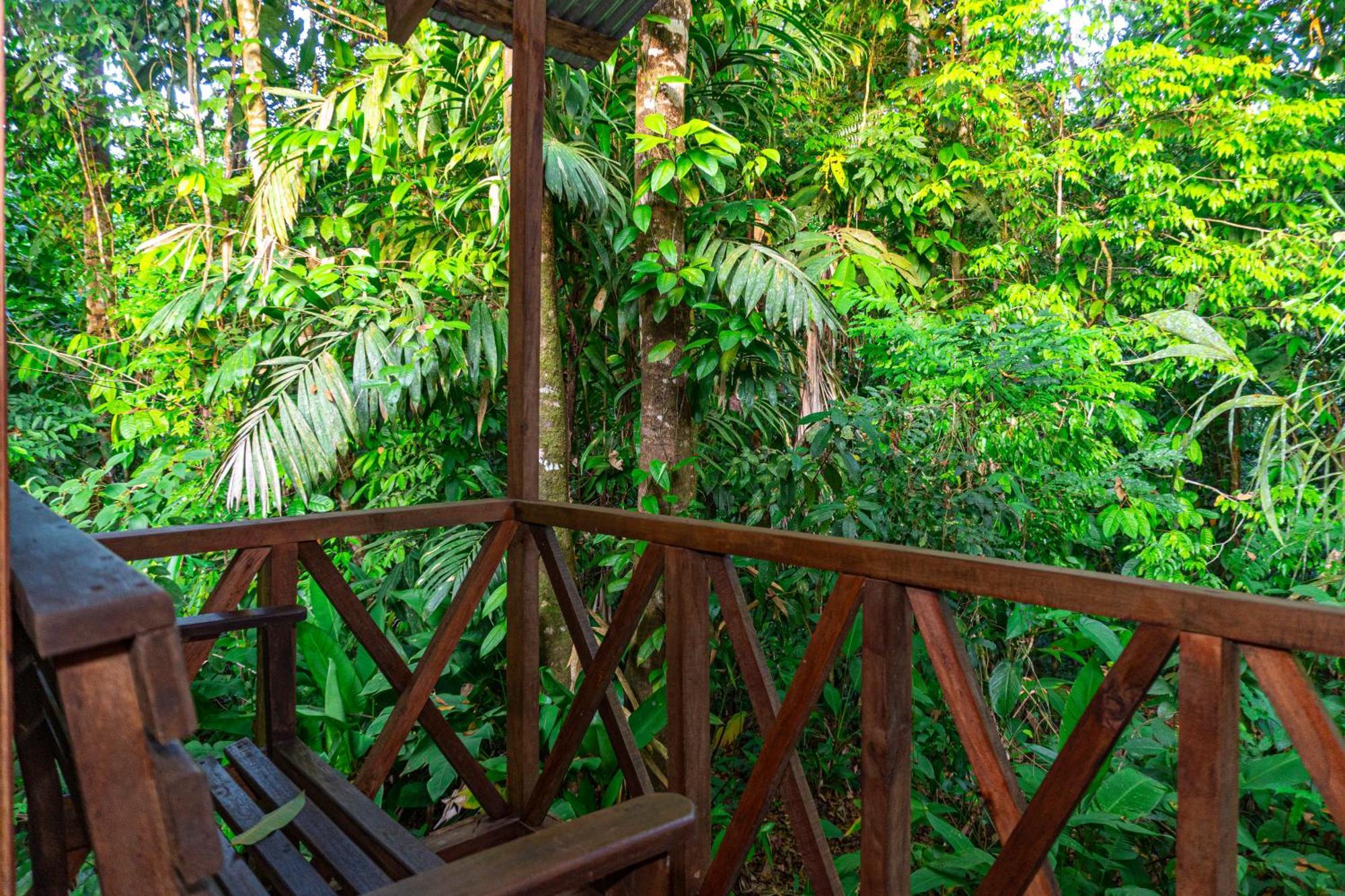 Citronela Lodge Corcovado Драке Экстерьер фото