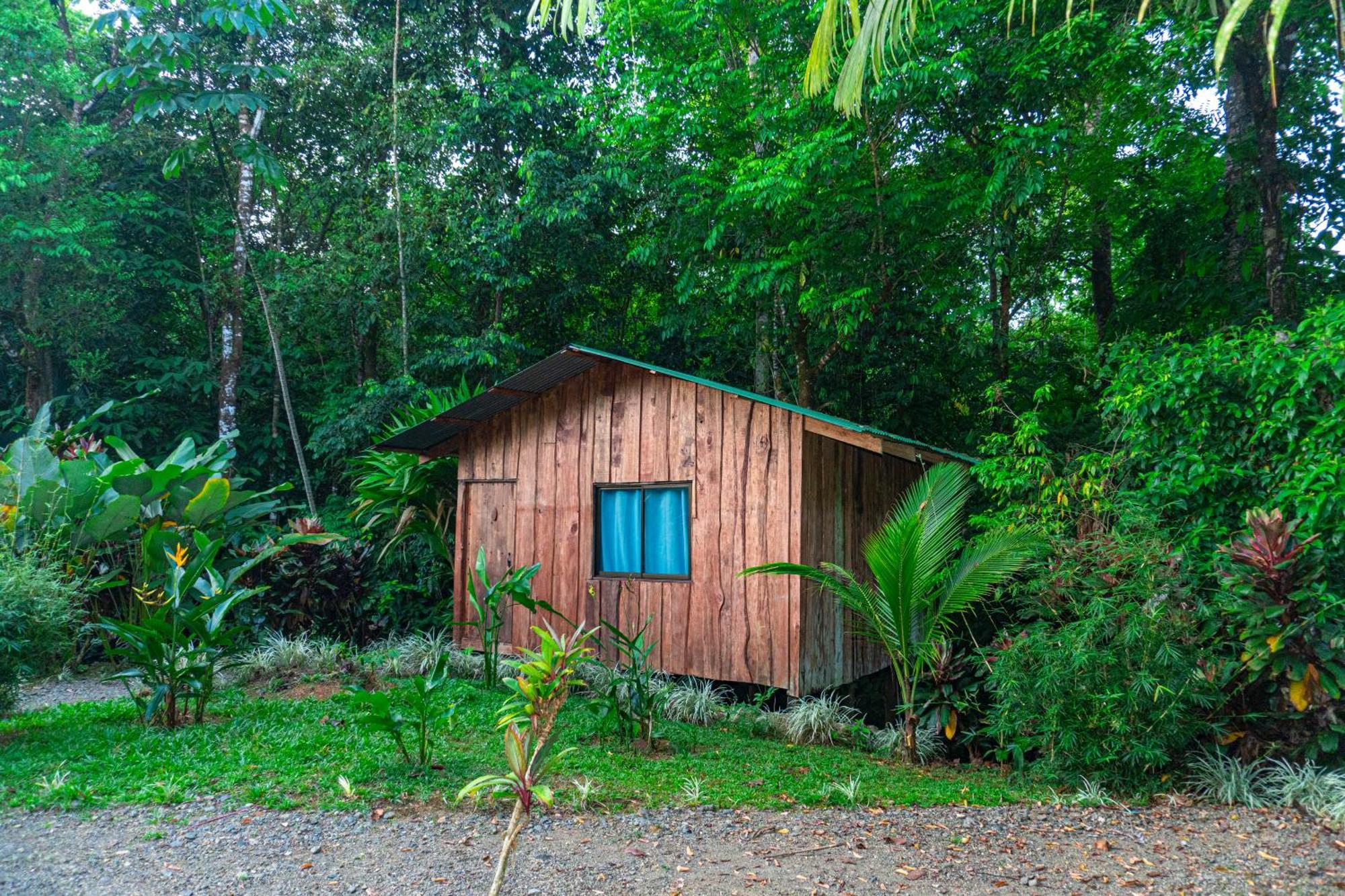 Citronela Lodge Corcovado Драке Экстерьер фото