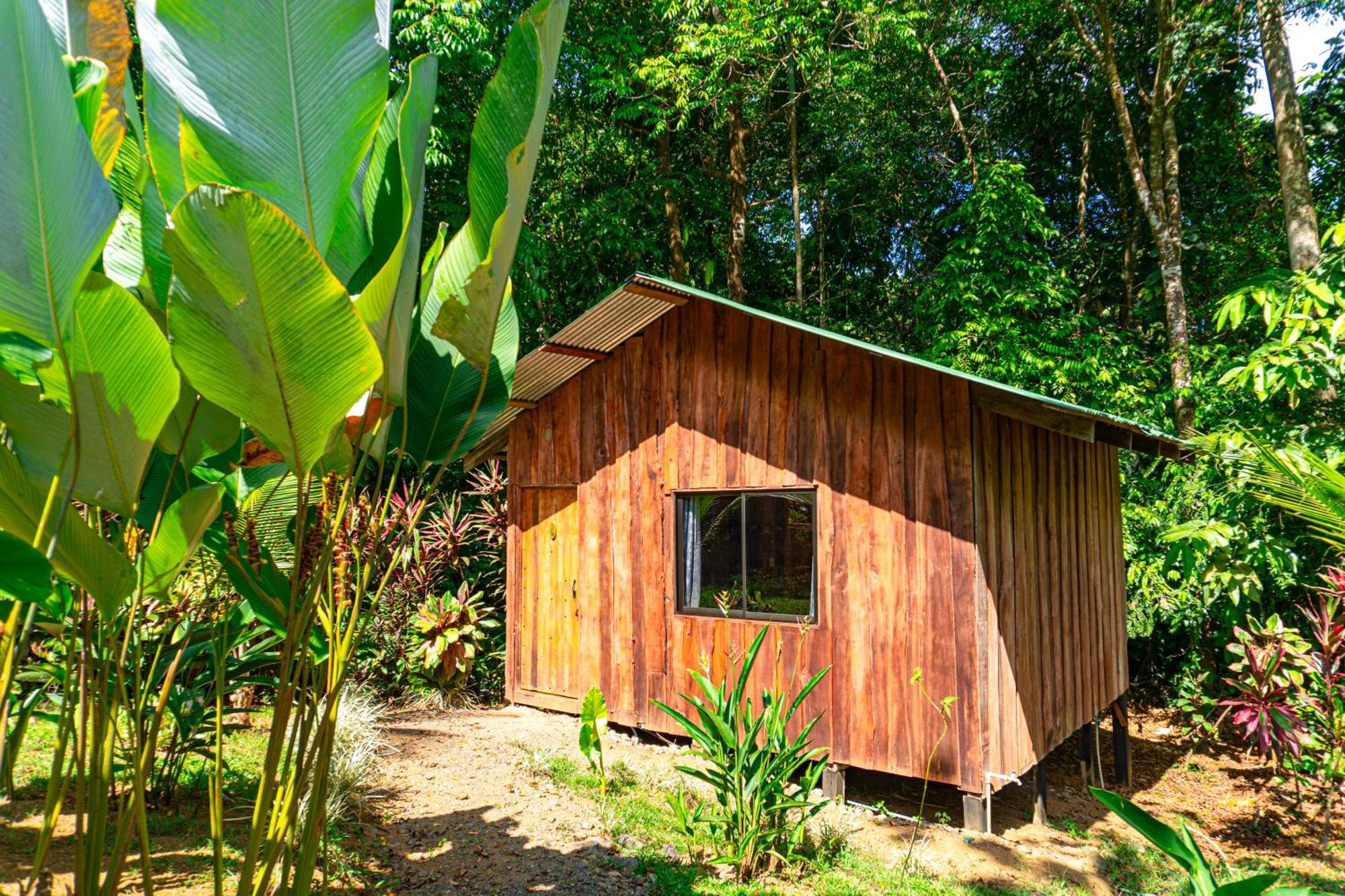 Citronela Lodge Corcovado Драке Экстерьер фото