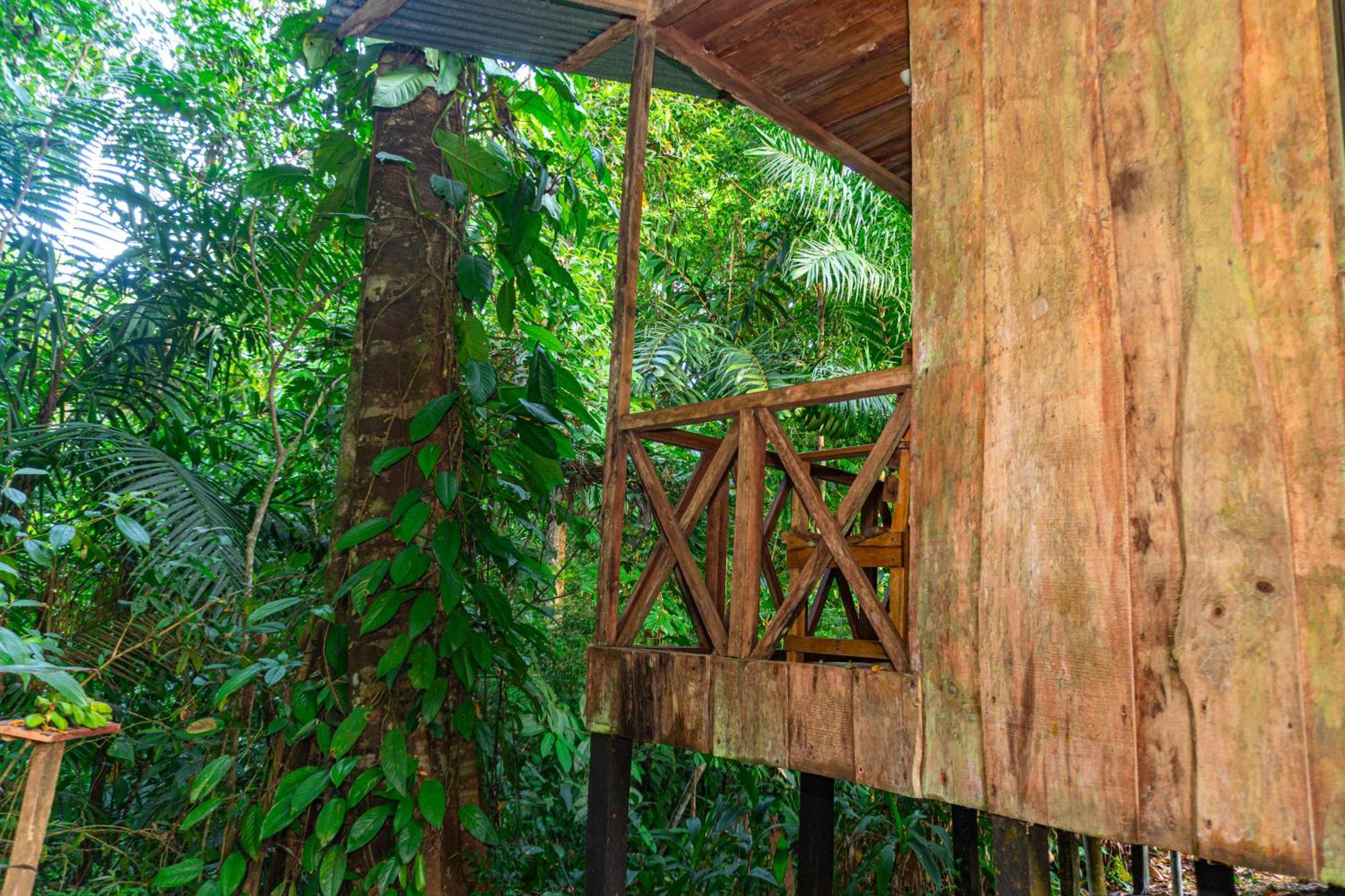 Citronela Lodge Corcovado Драке Экстерьер фото