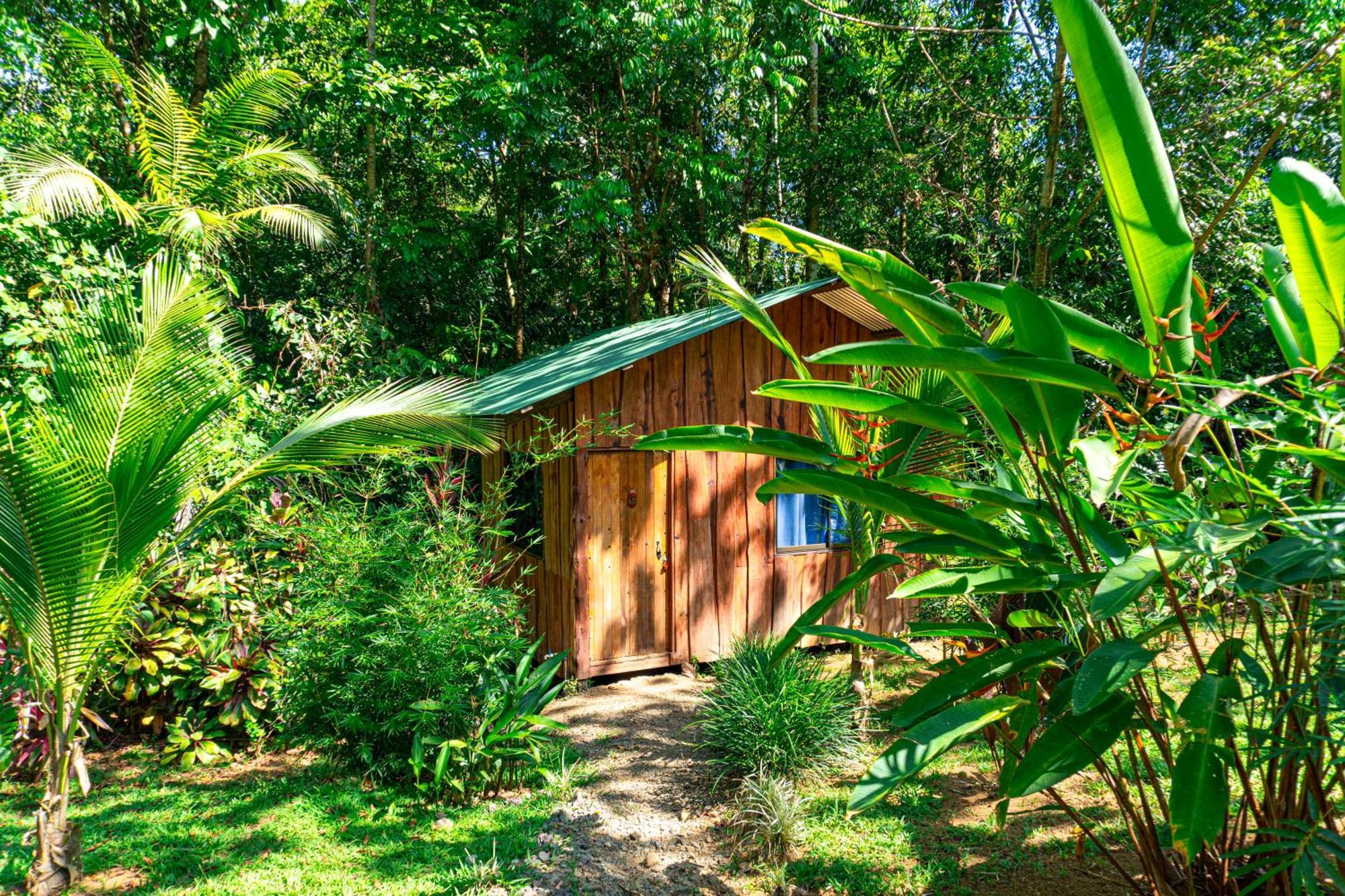 Citronela Lodge Corcovado Драке Экстерьер фото