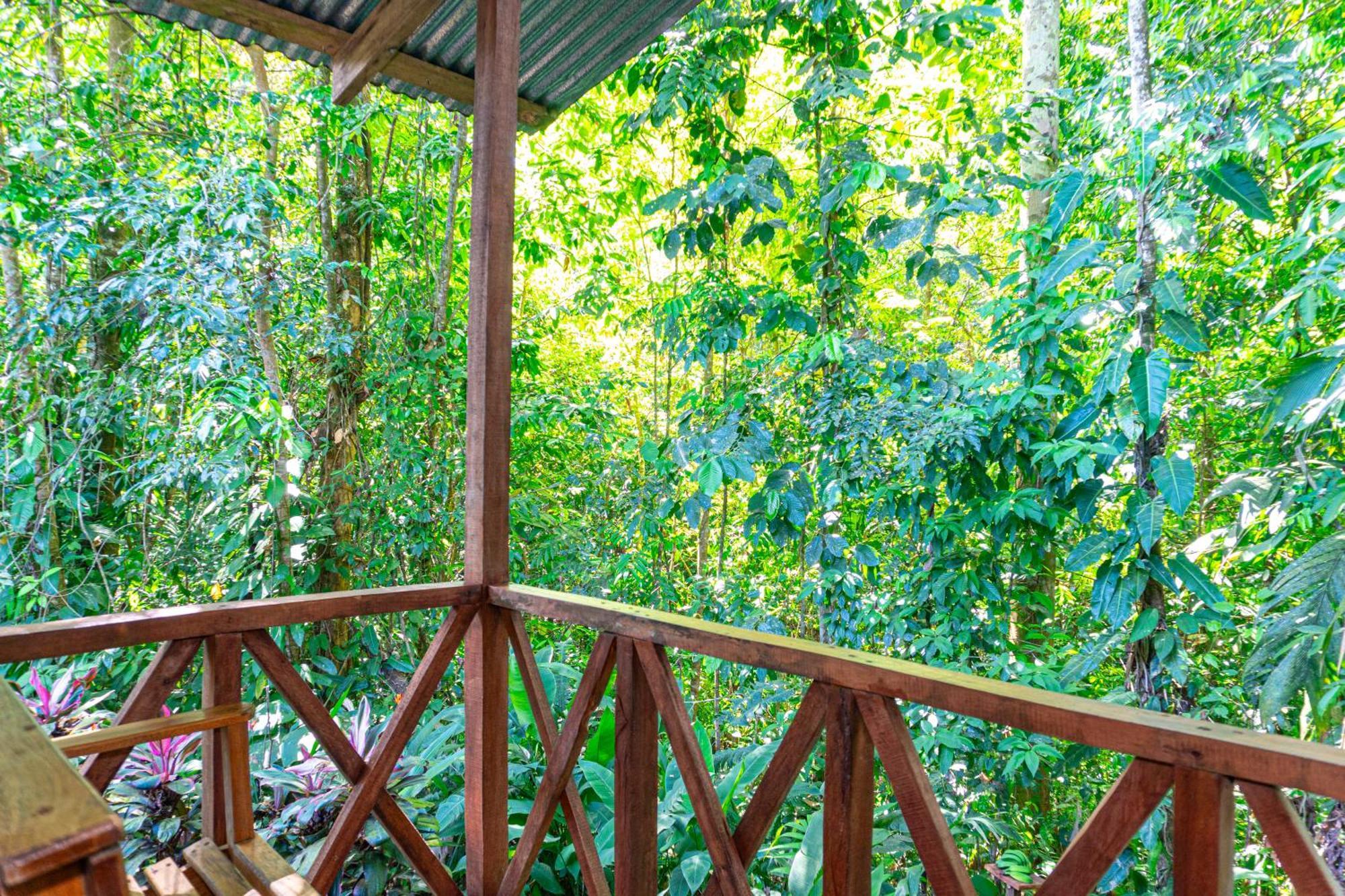 Citronela Lodge Corcovado Драке Экстерьер фото