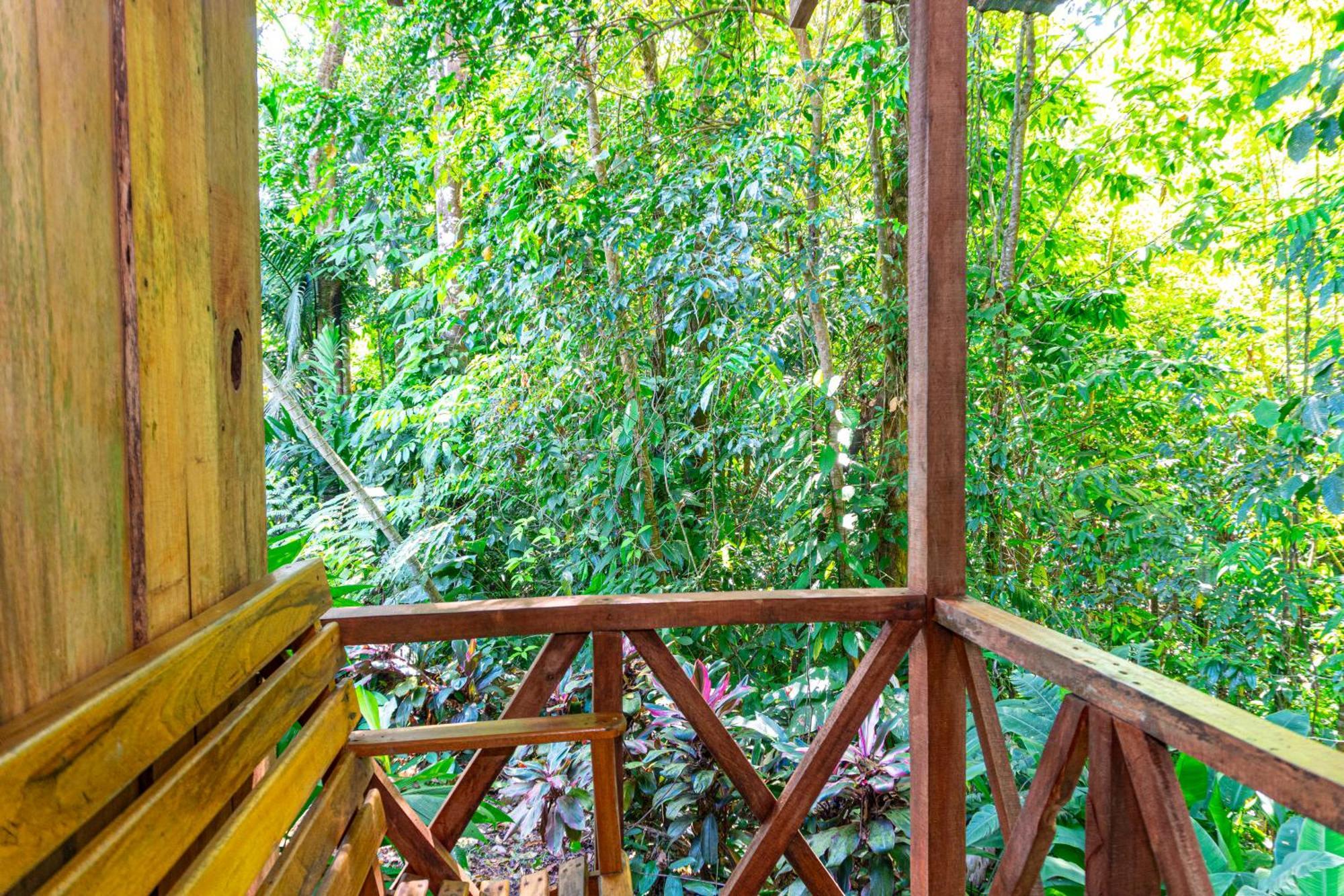 Citronela Lodge Corcovado Драке Экстерьер фото