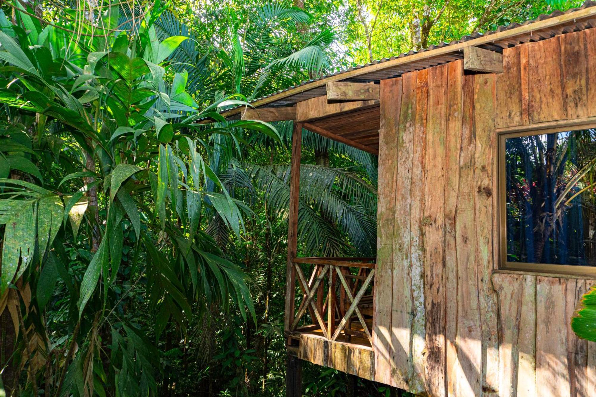 Citronela Lodge Corcovado Драке Экстерьер фото