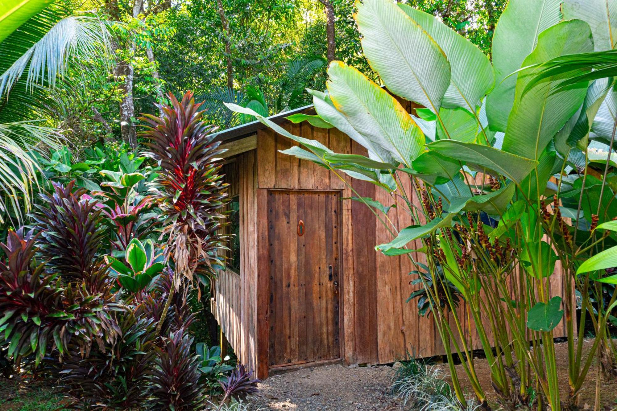 Citronela Lodge Corcovado Драке Экстерьер фото