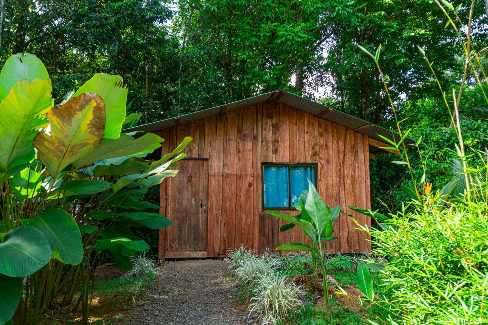 Citronela Lodge Corcovado Драке Экстерьер фото