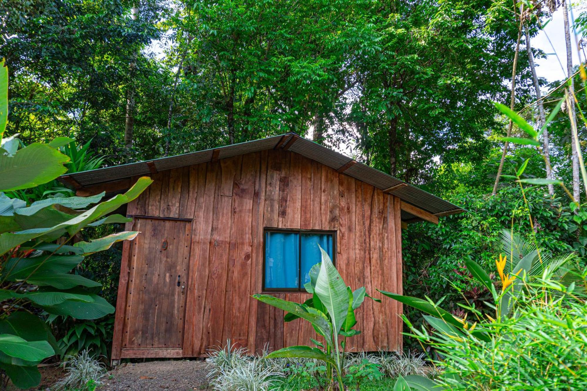 Citronela Lodge Corcovado Драке Экстерьер фото